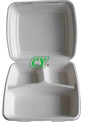 PLC เครื่องจักรผลิตเยื่อกระดาษด้วยมือถาดอ้อยที่ย่อยสลายได้แบบแห้งในเครื่องกดแบบเปียก