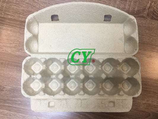 เครื่องรีดร้อนเยื่อกระดาษกล่องไข่การคุ้มครองสิ่งแวดล้อม 20 ตัน